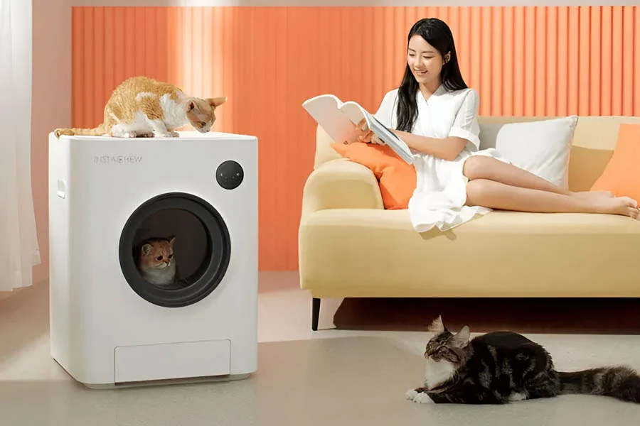 self cleaning cat boxes