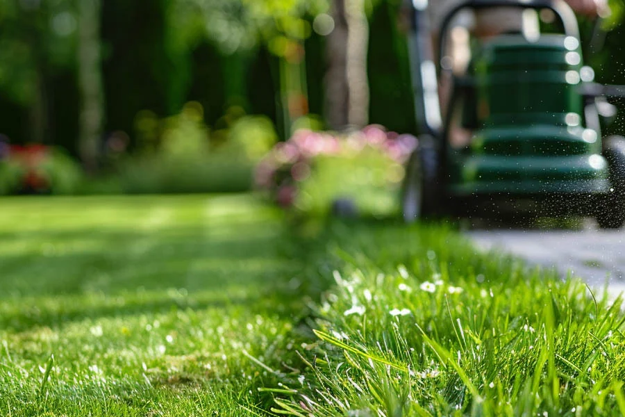 best electric self propelled mower